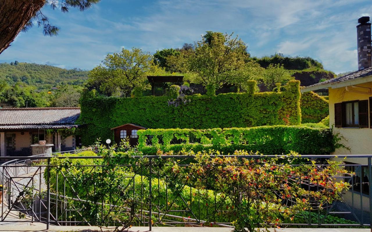 Agriturismo Le Vigne Bolsena Eksteriør billede