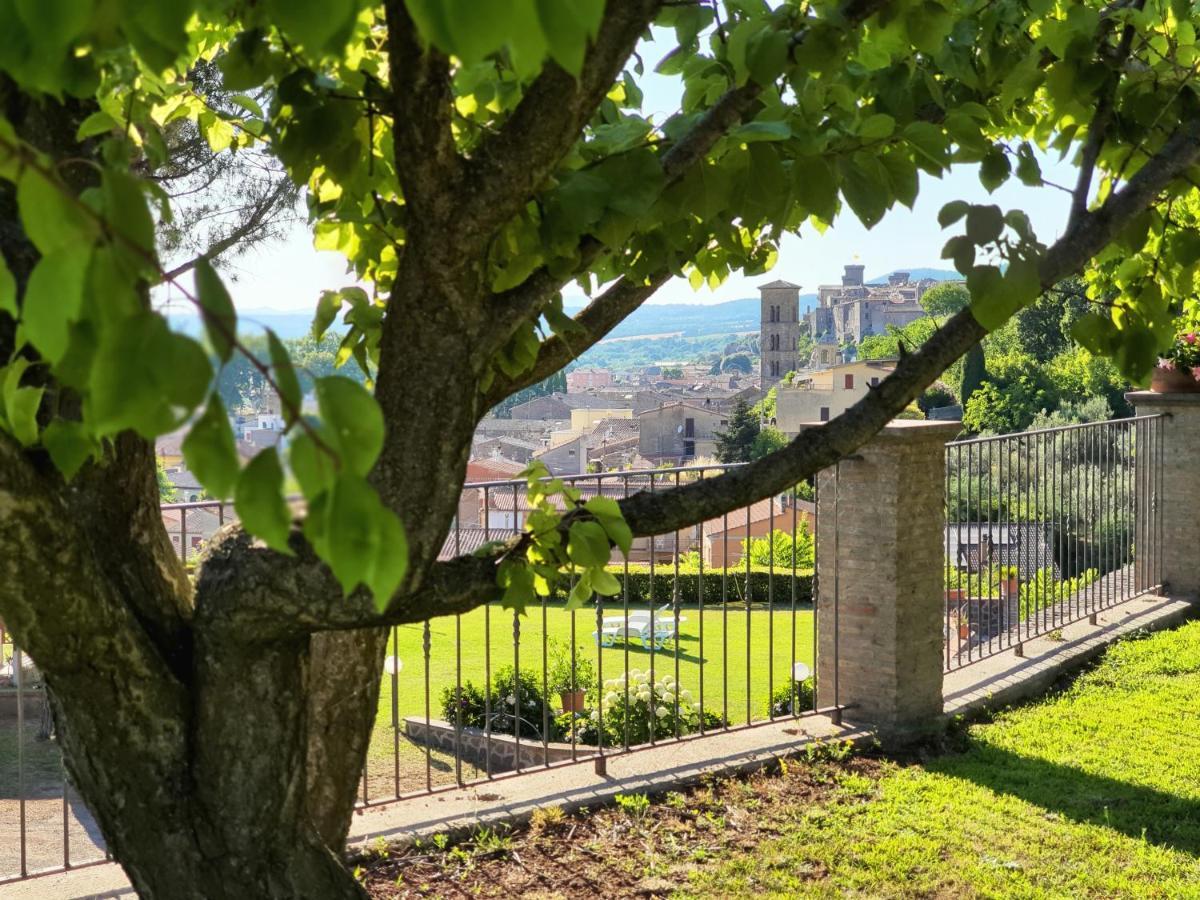 Agriturismo Le Vigne Bolsena Eksteriør billede