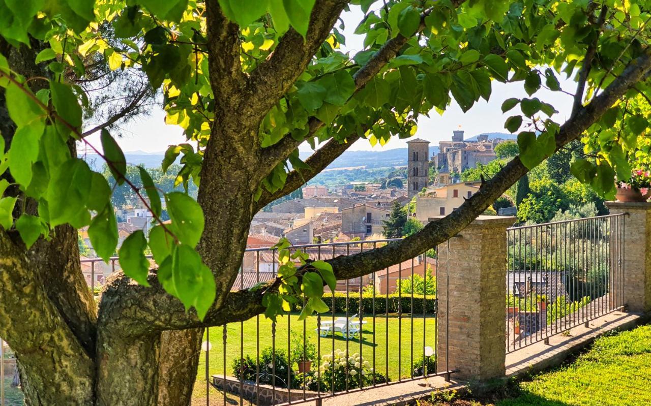 Agriturismo Le Vigne Bolsena Eksteriør billede